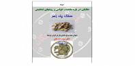 سنگ پادزهر