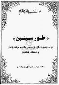 طورسينين نصرالله برجردي