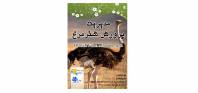 راهنمای کامل پرورش شتر مرغ