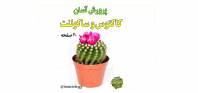 پرورش کاکتوس و ساکولنت