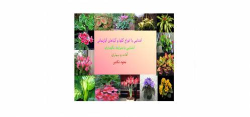 گل و گیاهان آپارتمانی