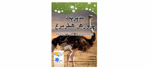راهنمای کامل پرورش شتر مرغ